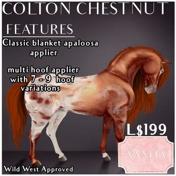 Second Life Marketplace - TEEGLEPET SKIN: Colton Blanket Appaloosa CHESTNUT