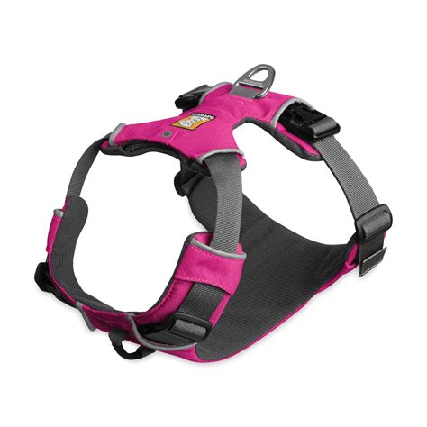 4 Best Dog Harness Choices for Small Dogs (Review & Ratings)