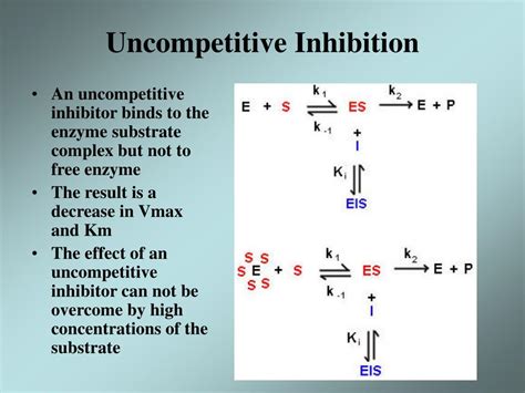 PPT - Enzyme Kinetic PowerPoint Presentation - ID:305372