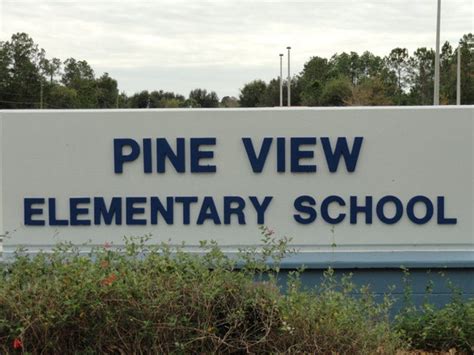 Pine View Elementary Gets New Leader | Land O' Lakes, FL Patch