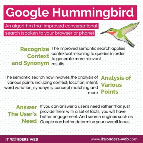 Hummingbird seo infographic