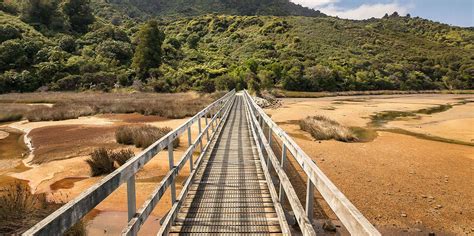 10 Stunning Hiking Trails and Great Walks in New Zealand in 2022 ...