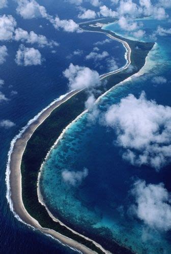 In pictures: Wildlife of the Chagos islands | Chagos islands, Island, Chagos archipelago