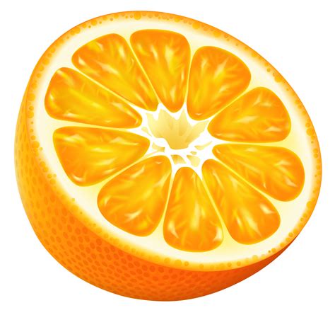 Half Orange PNG Vector Clipart Image | Clip art, Energy art, Orange art