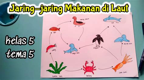 Membuat Gambar Jaring Jaring Makanan di Laut - YouTube