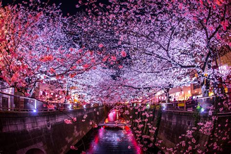 45 of the Best Things To Do in Japan (with Map and Images) - Seeker