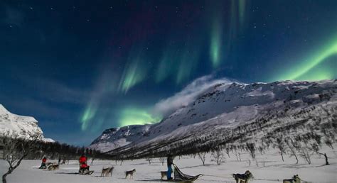 Northern Lights Tours in Tromso | Norwegian Travel