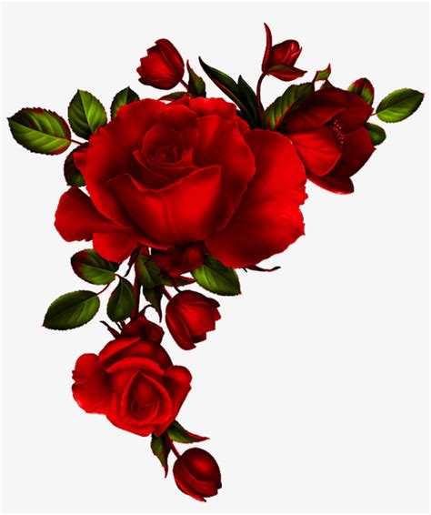 Roses 2 - Page - Red Roses Watercolor Png - Free Transparent PNG Download - PNGkey