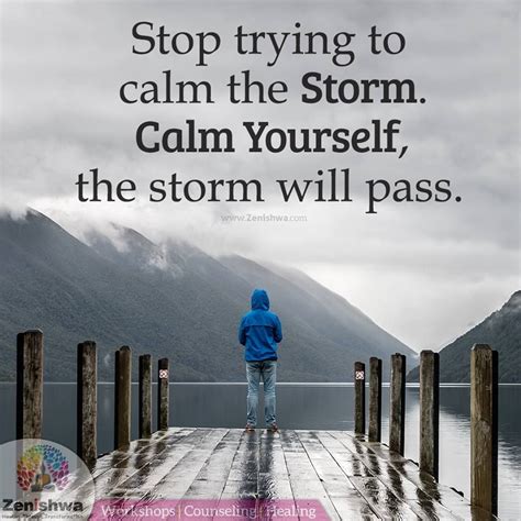 Stop trying to calm the Storm. Calm Yourself, the storm will pass. | Calm the storm, Inspiring ...