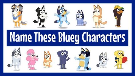 Can you name the Bluey characters in this fun, fast-paced quiz? Your knowledge of all the Bluey ...