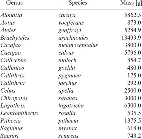 Body mass for measured extant platyrrhine species Masses given in... | Download Table