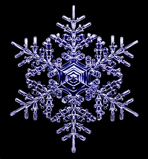 This Physicist's Designer Snowflakes Are Dazzling | Snowflake photos ...