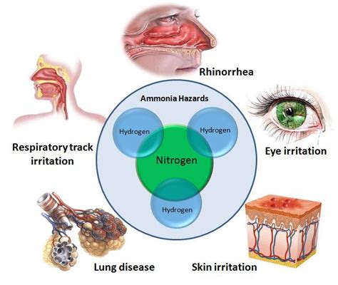 Effects of ammonia exposure | Download Scientific Diagram