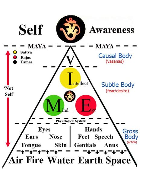 Self Awareness Chart | True yoga, Advaita vedanta, Indian philosophy