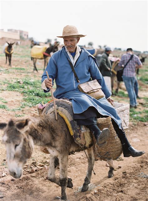 Man Riding Donkey in Morocco - Entouriste