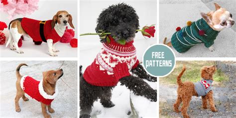 8 Christmas Dog Sweater Knitting Patterns - FREE - iGOODideas.com