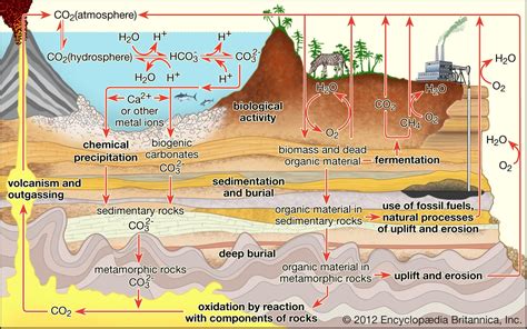 Global warming - Carbon dioxide | Britannica