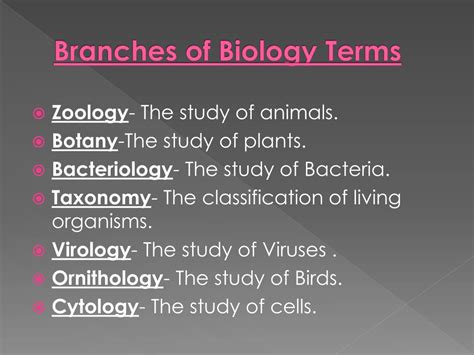 PPT - Branches of Biology Terms PowerPoint Presentation, free download - ID:6513057