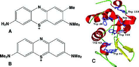 Chemical structure of (A) toluidine blue O and (B) methylene blue, and... | Download Scientific ...