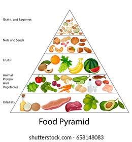 Blank Food Pyramid Chart | Kemele