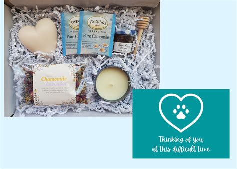 Pet Sympathy Gift BoxPet Loss Gift BasketSympathy GiftPet | Etsy