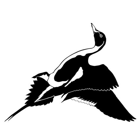 Pintail Drake Duck Hunting Decal - Hunting Sticker - 5035