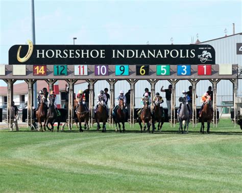 Grayson Grass Challenge Returns to Horseshoe Indianapolis - Past The Wire