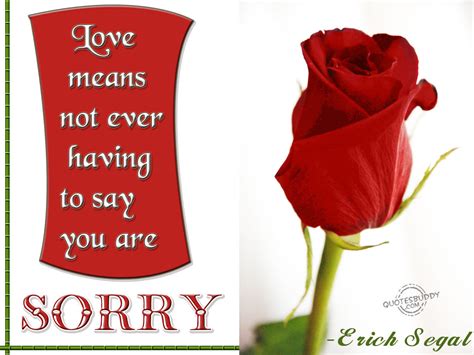 Sorry Quotes Pictures and Sorry Quotes Images with Message - 8