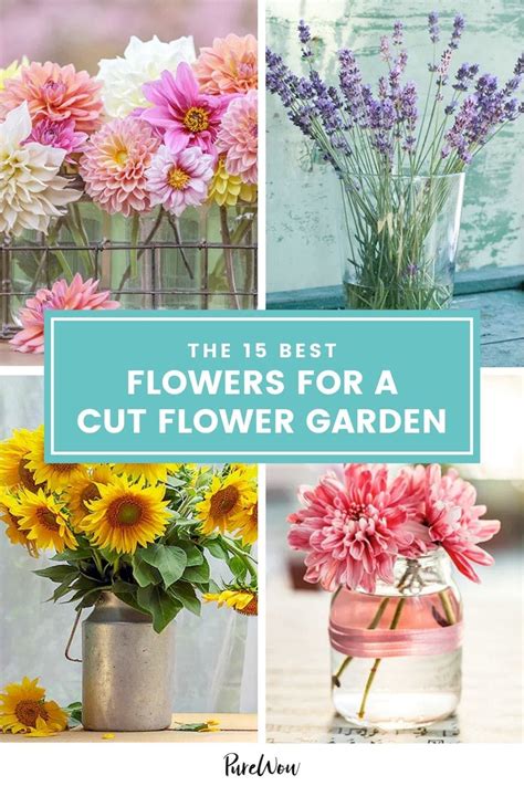 Flower Garden Layouts, Flower Garden Plans, Wildflower Garden, Cut Garden, Flowers For Cutting ...