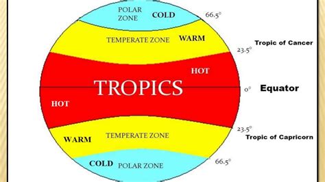 CLIMATIC ZONES OF THE EARTH [CLASS 5] - YouTube