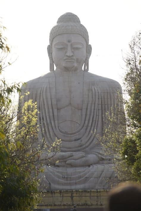 Statue of Great Buddha Bodh Gaya India · Free Stock Photo