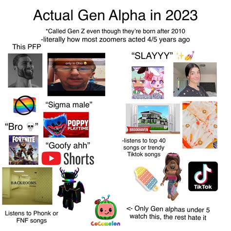 Real gen alpha starterpack : r/GenZ