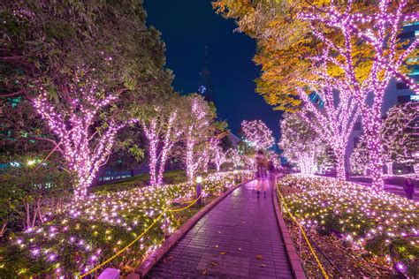 10 incredible illuminations and light-ups in Tokyo | Time out tokyo, Winter in japan, Places in ...