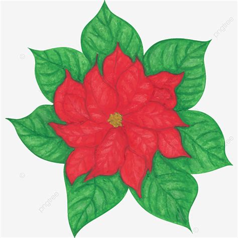 Watercolor Poinsettia Clipart PNG Images, Poinsettia Painted In Watercolor, Celebration, Leaf ...