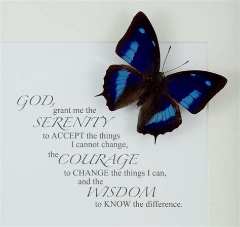 Items similar to Serenity prayer with Blue Sky butterfly - Anaea cyanea - No. 180 on Etsy