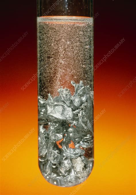 Zinc reacting with hydrochloric acid - Stock Image - A500/0223 - Science Photo Library