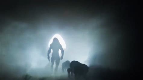 New Predator Spot Shows Off Predator... Dogs.News | DLH.NET The Gaming ...