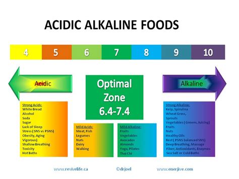 Top 10 Alkaline Foods List for a Healthy Diet! | Alkaline Diet Blog