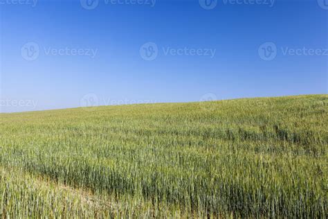 agriculture for food production 9407804 Stock Photo at Vecteezy