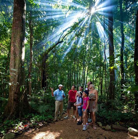 Mossman Gorge Tours - Dreamtime Walk - Adventures Port Douglas