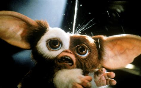 Gizmo Gremlins Wallpaper | images of gremlins 1 & 2 blu ray review the devils eyes wallpaper ...