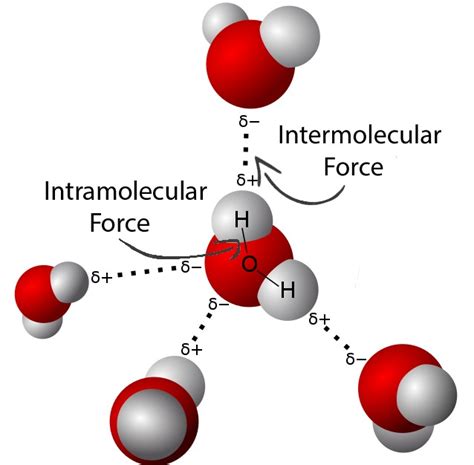 Influence of Intermolecular Forces | ChemTalk