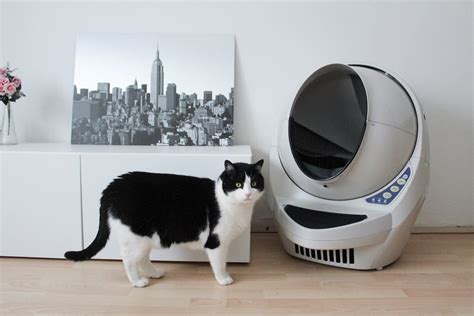 MEOW, I'm a litter Robot Meowdel and today I'm going to give you a step by step guide on how I ...