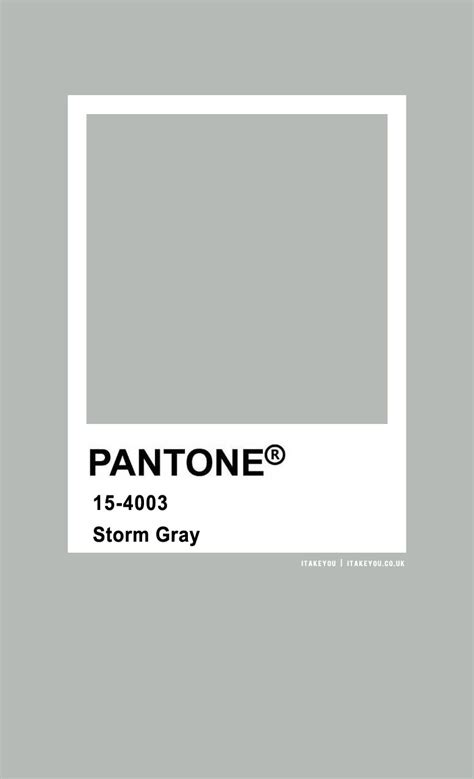 Pantone Color : Pantone Storm Gray Color I Take You | Wedding Readings | Wedding Ideas | Wedding ...