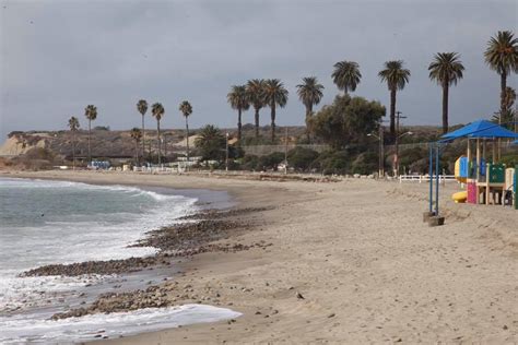 Shark Sighting Prompts Warning at San Onofre-Area Beaches - Times of San Diego