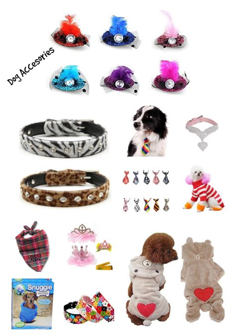 10 Best Dog Accessories - Katie Talks Carolina