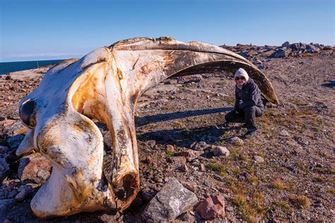 Discovering the Culture of Kivalliq, Central Nunavut