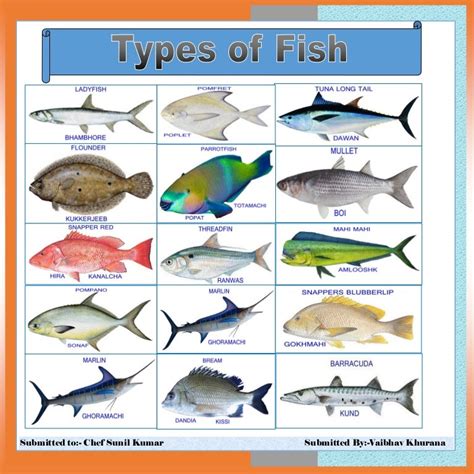 TYPES OF FISH