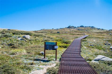 Climbing Mount Kosciuszko, Australia’s highest peak | Atlas & Boots