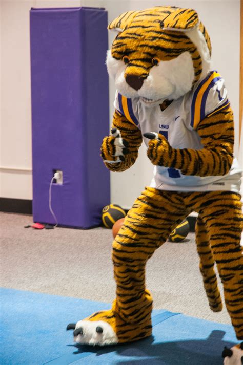 Suit Up: The students behind LSU’s iconic mascot | Legacy | lsureveille.com